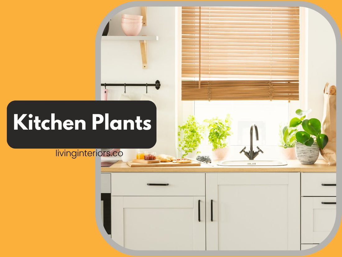 Bringing in Nature: Vastu-friendly Indoor Plants for Your Kitchen - LIVING INTERIORS & MODULAR KITCHENS